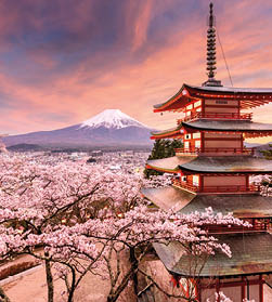 Fujiyoshida, Japan at Chureito Pagoda and Mt  Fuji in the spring with cherry blossoms 
